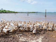 -东寨港红树林旅游区