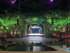 -广州长隆国际大马戏