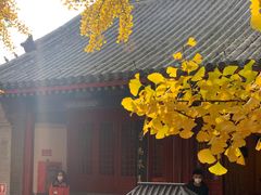 -红螺寺