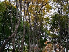 -徐家汇公园