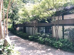 -茶颜悦色(岳麓山顶店)