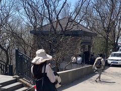 -紫金山山顶公园