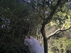 -南京金牛湖风景区