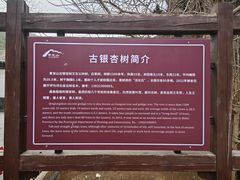 -青龙山风景区