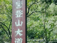 -大屏嶂森林公园
