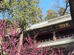 -潭柘寺景区