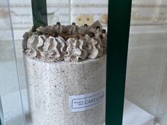 -山与蓝·轻糖鲜果蛋糕(勒泰店)