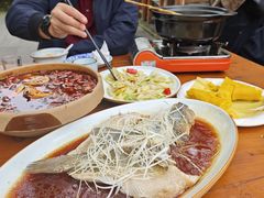 -青城甲(青城山店)