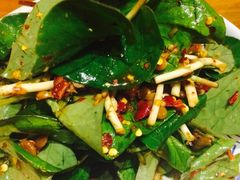 -云海肴·汽锅鸡·云南菜(天津国金汇店)