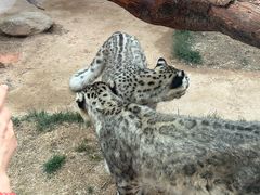 -青藏高原野生动物园