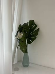 -春田皮肤管理中心品牌旗舰店