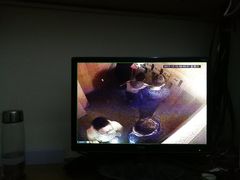-恐怖游戏(湖滨店)
