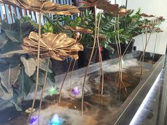 -尚尚仙·酸汤猪手·猪肚鸡火锅(华联万柳购物中心店)