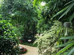 -南山植物园