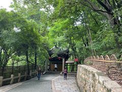 -灵岩山风景区