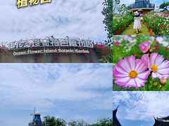 -海花岛旅游度假区