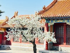 -故宫博物院(故宫)