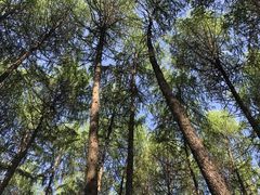 -硗碛藏寨·神木垒景区