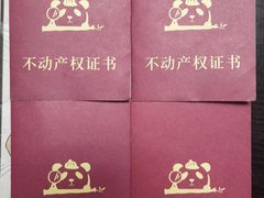 -猫尾侦探俱乐部·剧本杀·狼人杀