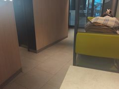 -麦当劳(药谷大道店)