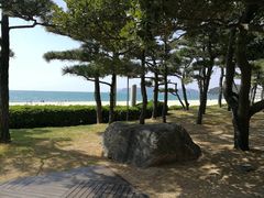 -海云台海滩