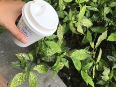 -星巴克臻选(思南公馆店)