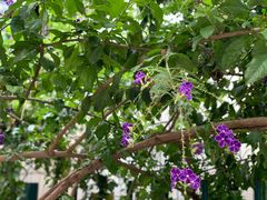 -豆舞咖啡(民乐路店)