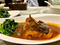 秧草烧鮰鱼-萬國春·中菜馆(颐和公馆店)