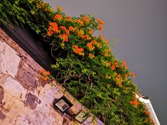 -山塘街