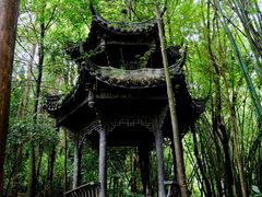 -凤栖山