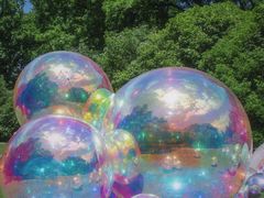 -上海共青森林公园