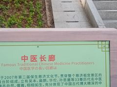 -青礁慈济宫