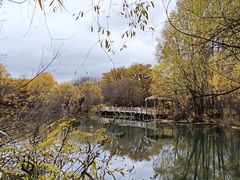 -洮儿河国家湿地公园