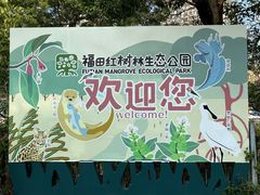 -福田红树林生态公园