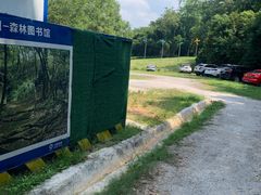 -南宁良凤江国家森林公园