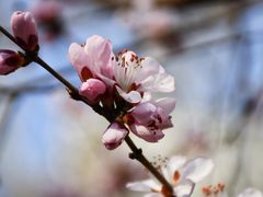 -清华东路西口(地铁站)