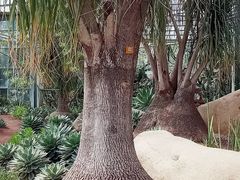 -南通洲际绿博园