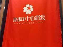 -阳阳中国饭(北京荟聚店)