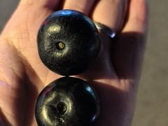 -味之绝美蛙鱼头火锅(龙潭店)