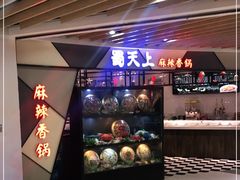 -蜀天上精专麻辣香锅(文定路店)