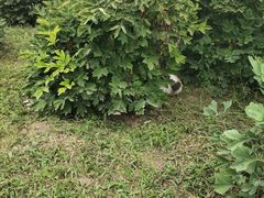 -大钟寺古钟博物馆