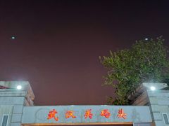 -武汉关码头(轮渡站)