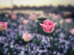 -浙江大学(海宁国际校区)