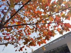 -北京师范大学(珠海校区)