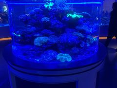 -上和臻品中国菜(花园街店)