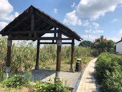 -同里国家湿地公园