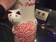 -猫咪博物馆(顶澳仔猫街店)