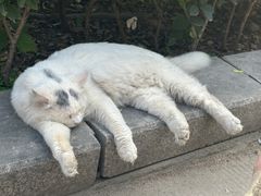 -宝通禅寺