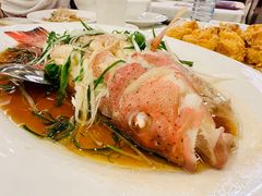 -顶好海鲜酒家