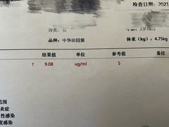 -纳吉亚猫专科动物医院(康都外科中心)